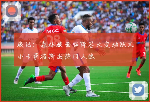 狼记：森林狼面临阵容大变动欧文小卡萨格斯成热门人选
