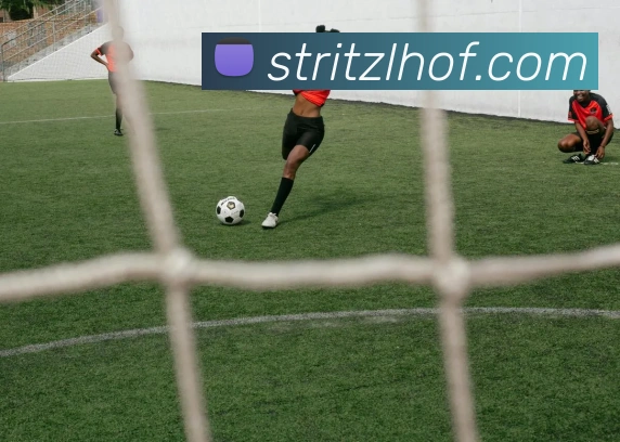 企业概况